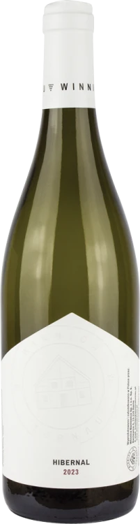 wt_hibernal_2023_wizu.png