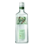 winter.webp