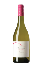 Pettegola Vermentino Toscana 2024 12,5% 0,75L.png